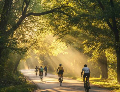 Conseils pour bien choisir son vélo en fonction de son niveau et de la balade envisagée