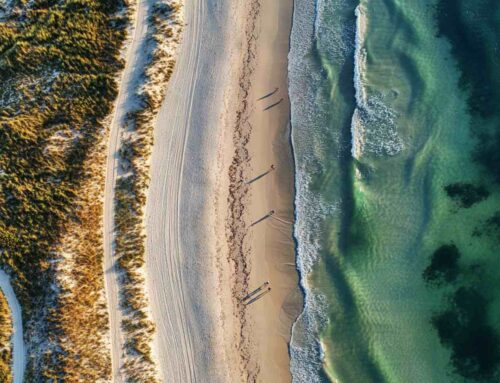 Vers qui s’orienter pour une balade réussie sur l’ile d’Oléron